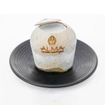 coconut-jelly