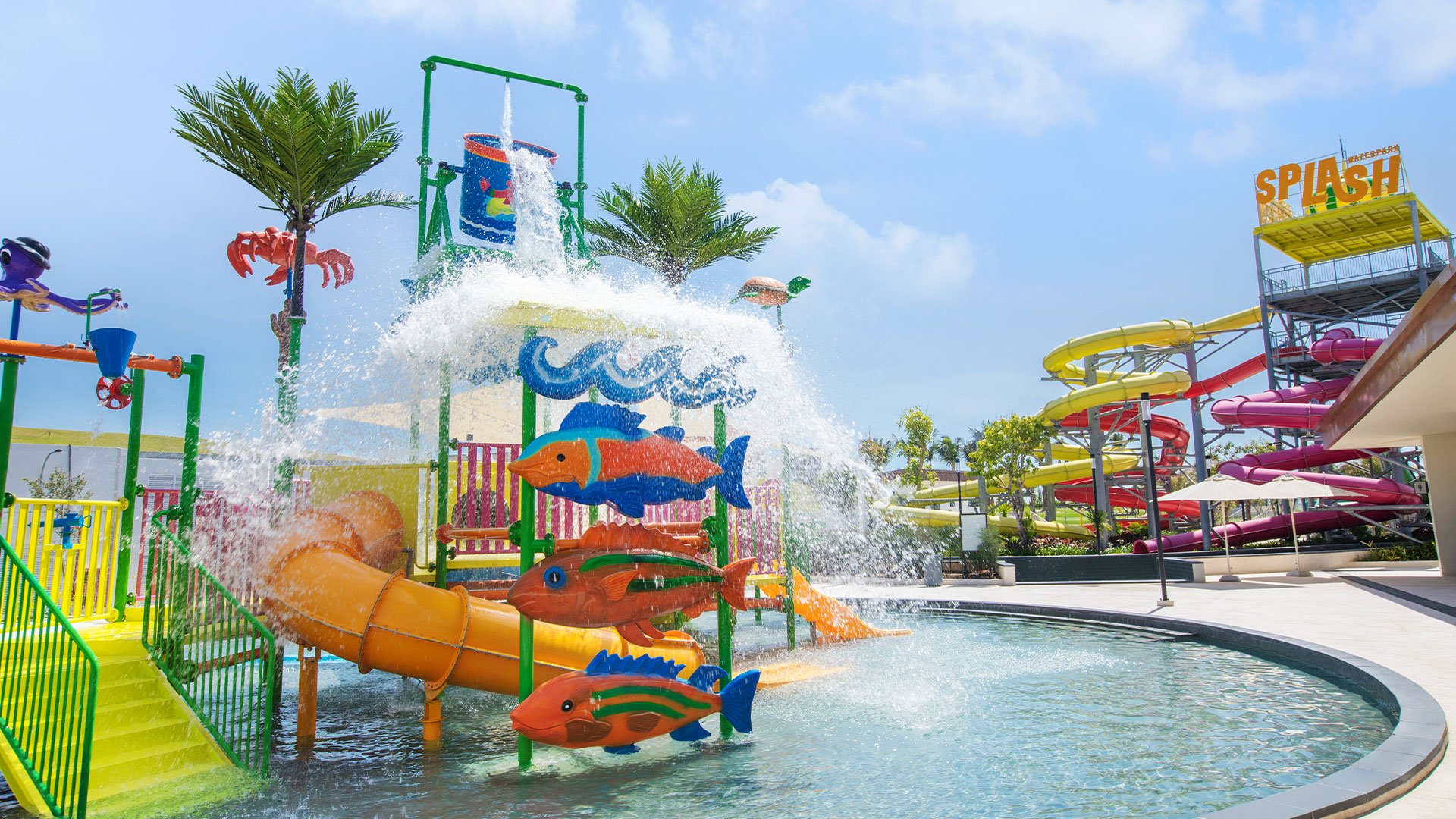 Water Park – Alma Experiences